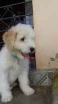 Mily