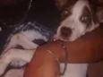 Dorinha