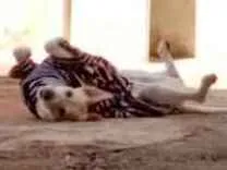 Cachorro ra a Vira Lata idade 4 anos nome Lana