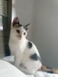Frida