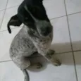 Nina