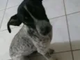 Nina