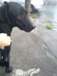Menininho