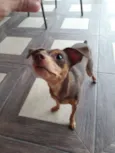 Nina