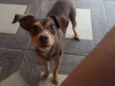 Nina