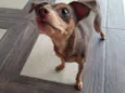 Nina