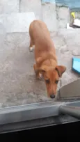 Bob