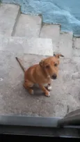 Bob