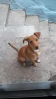 Bob