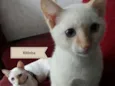 Ritinha