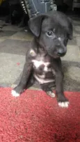 Sara