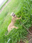 Fred