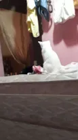 Marie