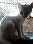 Marie