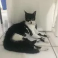 --