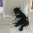 --