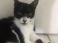 --