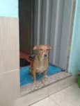 Frederico