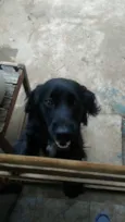 Rabito 