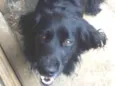 Rabito 