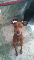 Coda