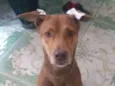 Coda