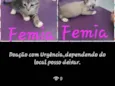 sem nome
