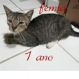 sem nome