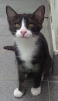PAOLO