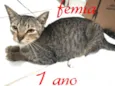 sem nome