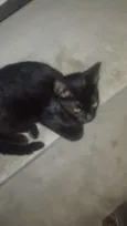 Não sei