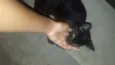 Não sei