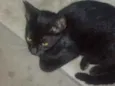 Não sei