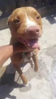 Tyson