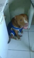 Tyson