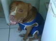 Tyson