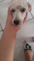 Tony