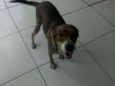 Feliz (Apelidamos)