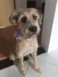Nina