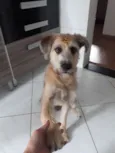 Nina