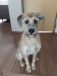 Nina
