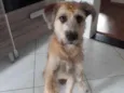 Nina