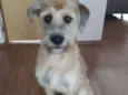 Nina