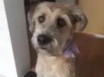 Nina