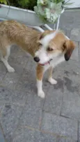 Mel