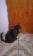 Não tem nome