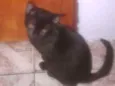 Não tem nome