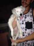 Princesa