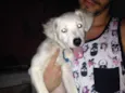 Princesa