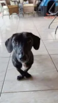 Negão , Belinha 